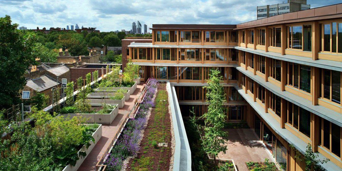 Edifício projetado para combater solidão de idosos vence prêmio de Arquitetura