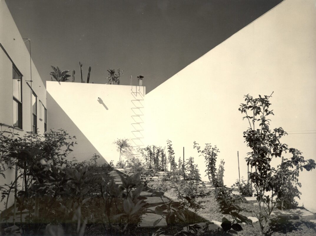 Casa de Vidro: a transparência de Lina Bo Bardi 