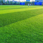 Gramado verde de um campo de futebol