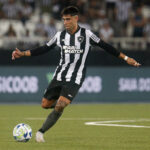 botafogo defensa y justicia