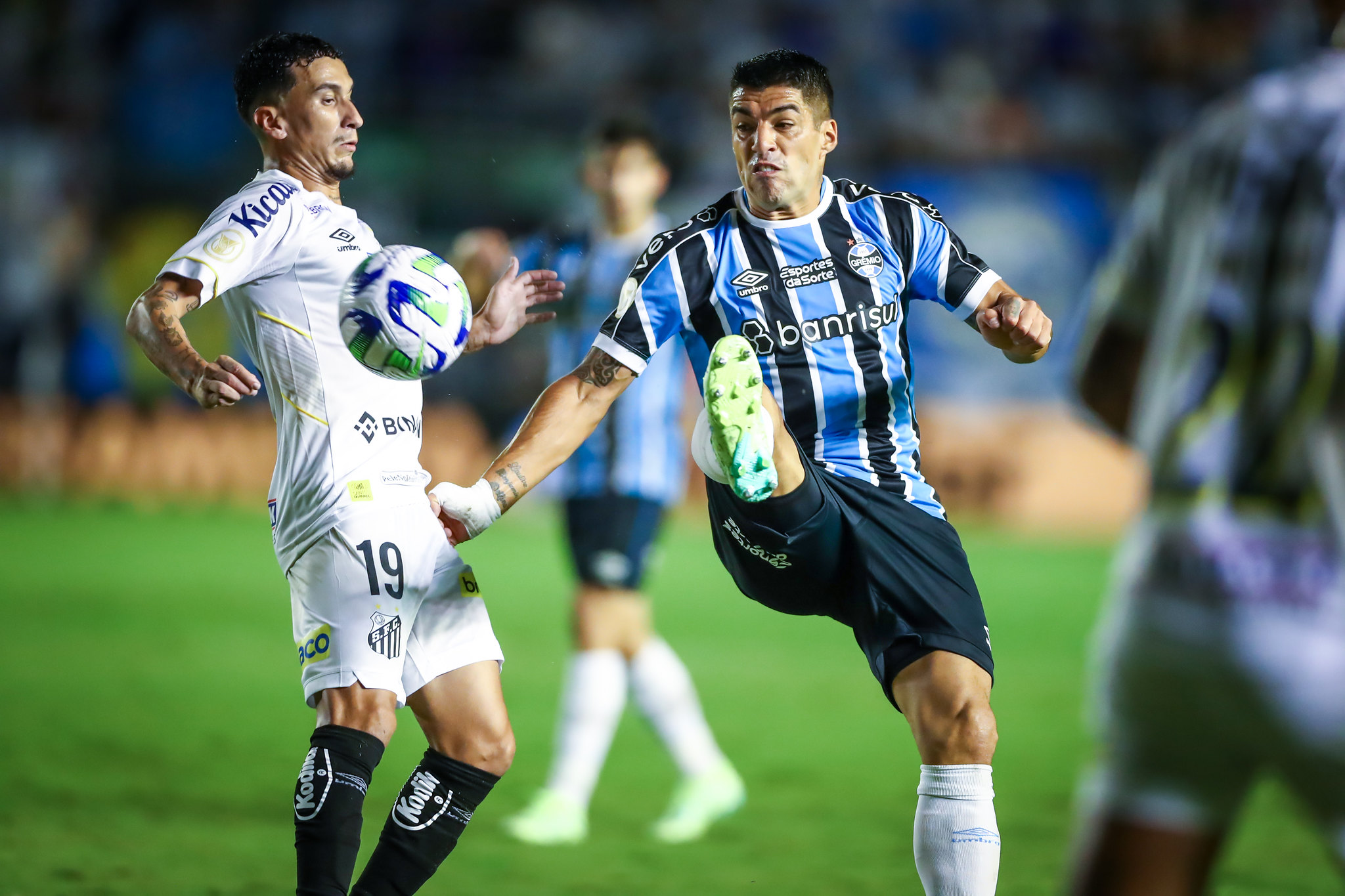 Santos x Grêmio