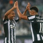 Victor Sá e Luis Henrique comemoram gol do Botafogo - Série A