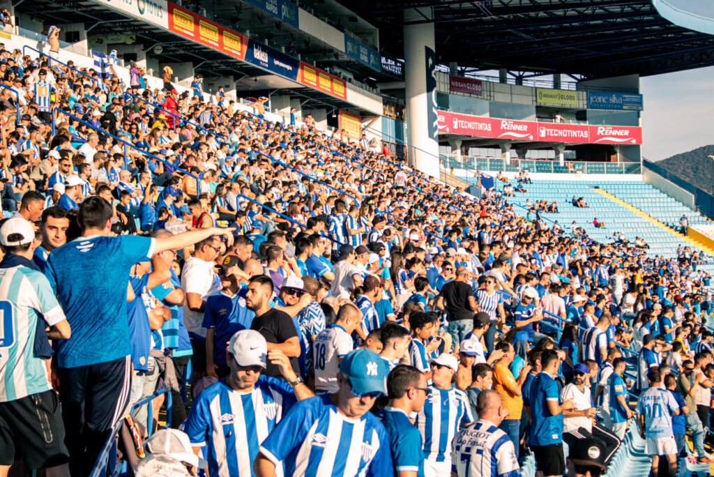 Torcida do Avaí durante jogo no estádio da Ressacada