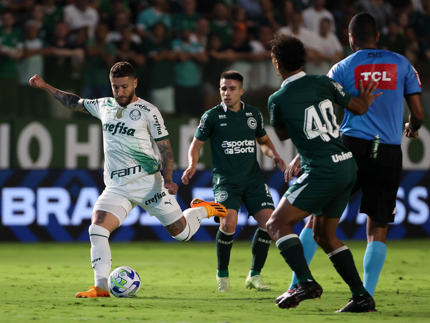 palmeiras