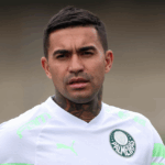 Recuperação de Dudu deve durar entre 9 e 12 meses (Foto: Cesar Greco/Palmeiras)
