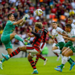 Flamengo x Goiás