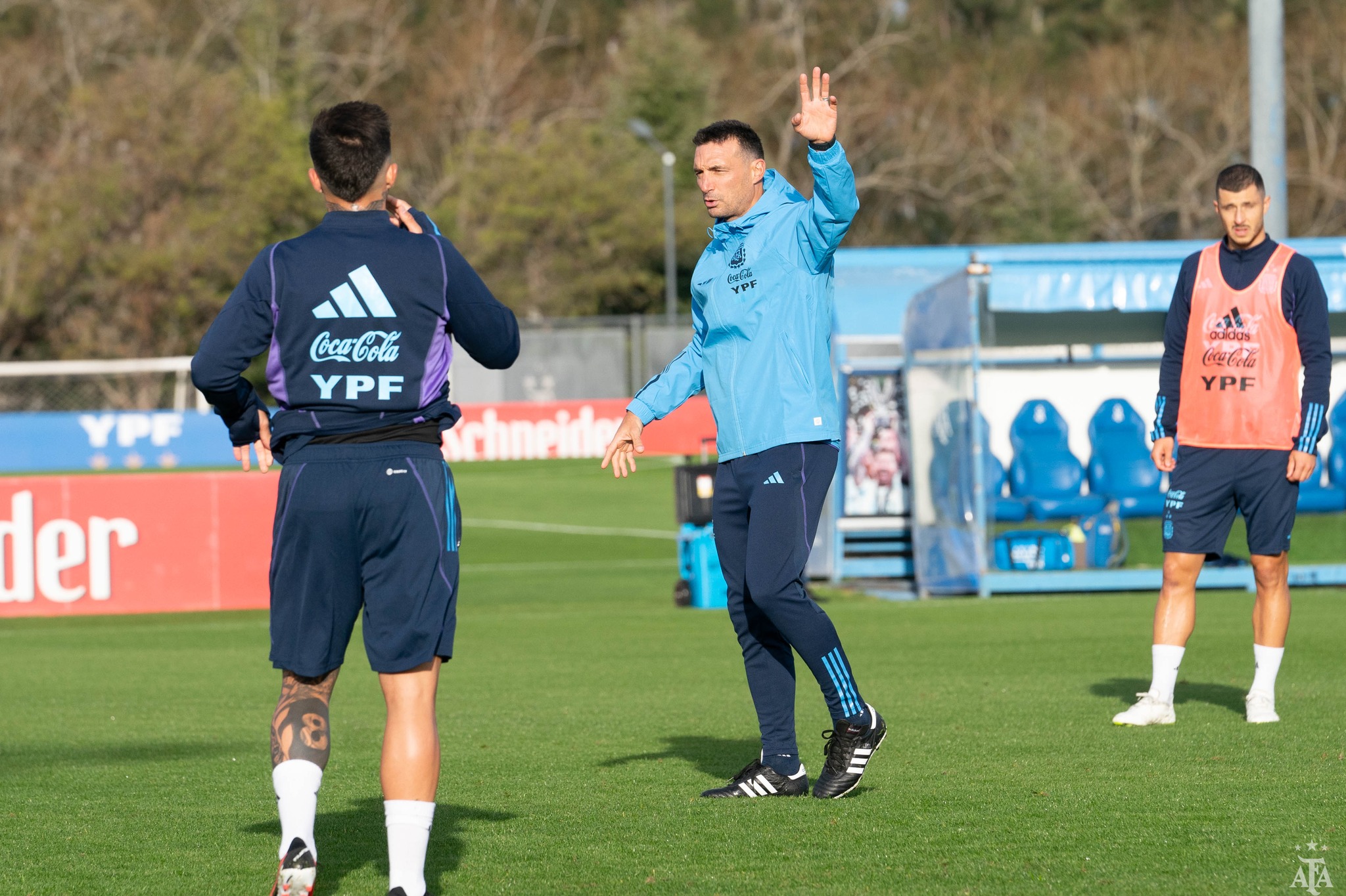 Scaloni durante o treino
