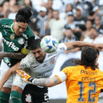 Corinthians e Palmeiras ficaram no empate na Neo Química Arena (Foto: SE Palmeiras/Twitter)