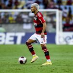Arrascaeta, Flamengo