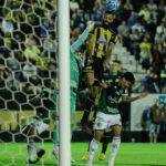 Novorizontino x Guarani