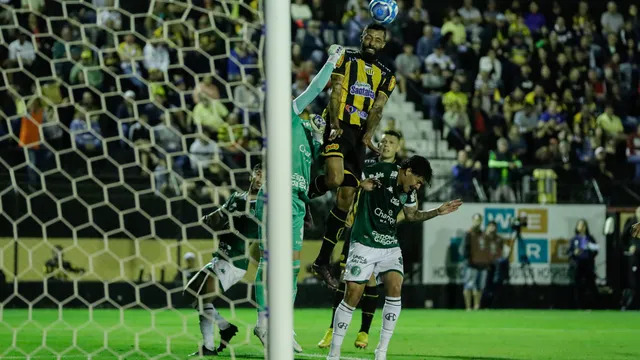 Novorizontino x Guarani