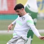 Piquerez - palmeiras