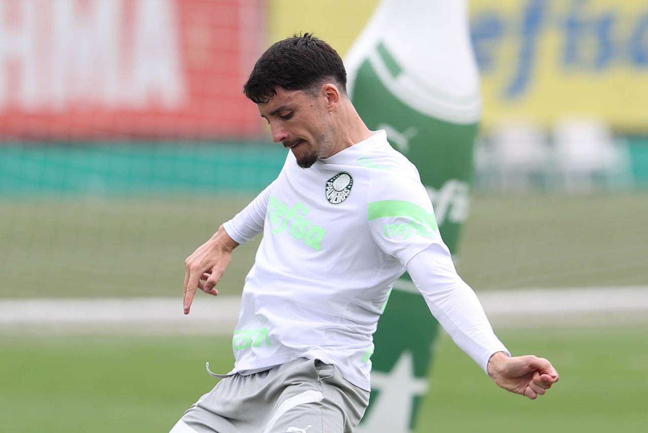 Piquerez - palmeiras