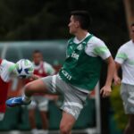 atuesta - palmeiras
