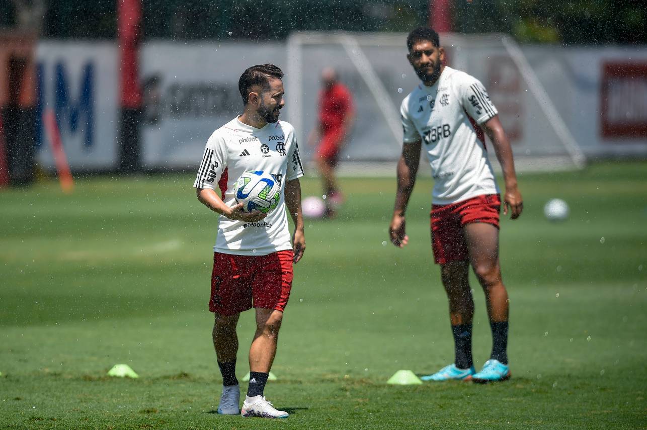 Flamengo deve renovar com Everton Ribeiro