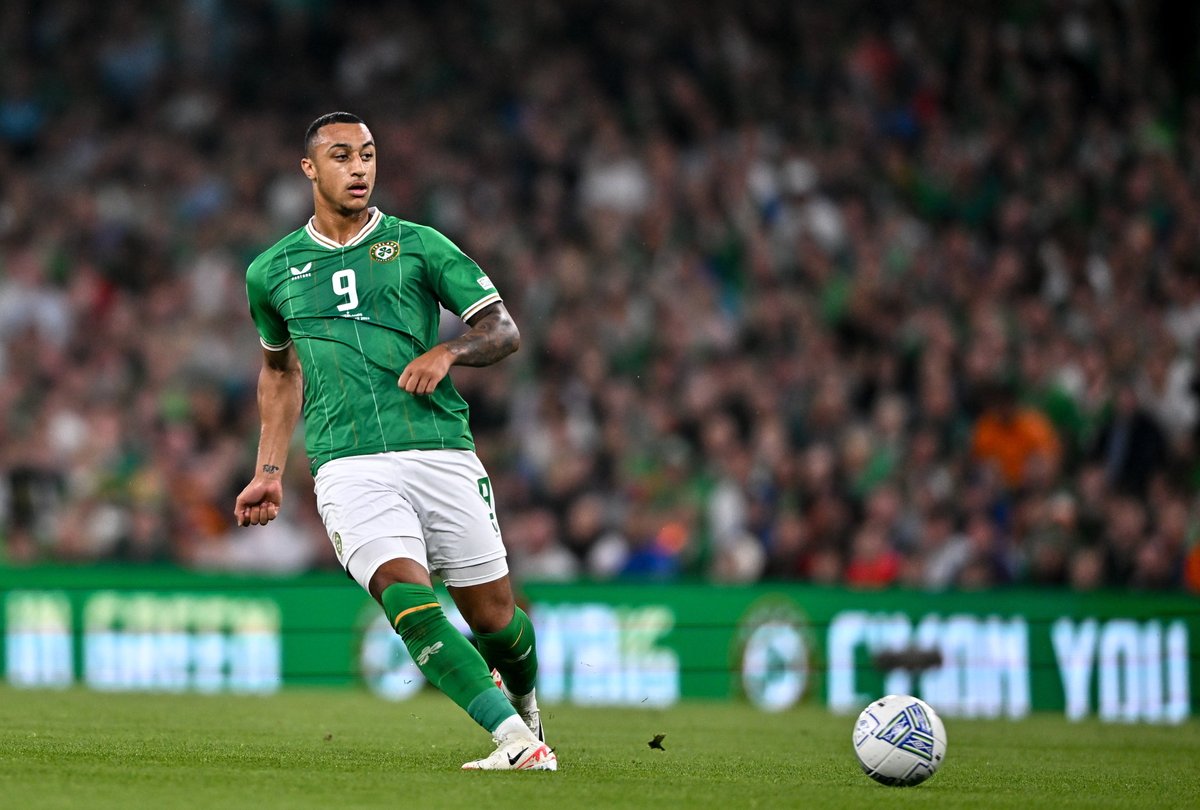 Seleção da Irlanda