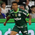 Marcos Rocha, Palmeiras