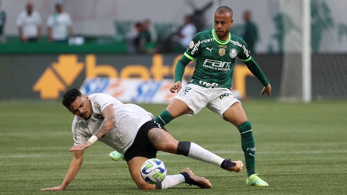 onde assistir ao vivo botafogo x palmeiras