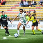 palmeiras classificado