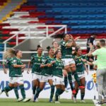 Palmeiras vai à fina da Libertadores Foto: Reprodução/Twitter