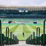 Palmeiras e Atlético-MG