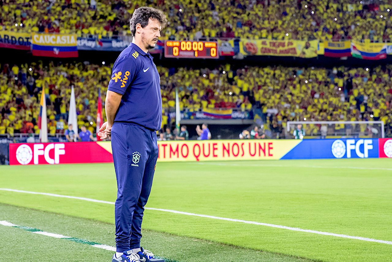 Fernando Diniz na derrota do Brasil