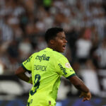 Botafogo x Palmeiras