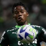 Endrick, Palmeiras