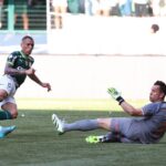 Palmeiras está perto do título