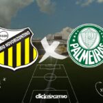 Novorizontino x Palmeiras