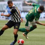 Gramado foi palco do clássico entre Palmeiras e Santos