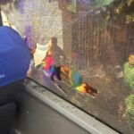 Janela do ônibus do Palmeiras