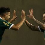 onde assistir ao vivo palmeiras x santo andré