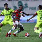 O Palmeiras só chegou ao gol após a expulsão do jogador da Portuguesa. Foto:Rebeca Reis/Ag. Paulistão