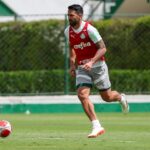 Luan chegou ao Palmeiras em 2017 após passagem pelo Vasco. Foto:Fabio Menotti/Palmeiras