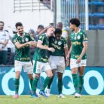 O Palmeiras é o lider do grupo C do Campeonato Paulista. Foto: Ronaldo Barreto/Ag. Paulistão