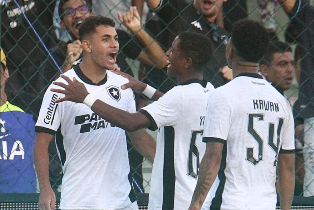 Garotos do Botafogo comemoram vitória