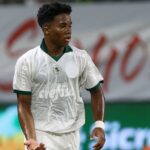 Endrick vive grande momento no Palmeiras e Seleção