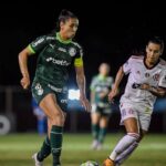 onde assistir ao vivo Palmeiras x Flamengo