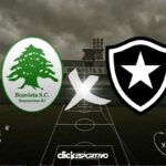 Boavista x Botafogo - Taça Rio 2024