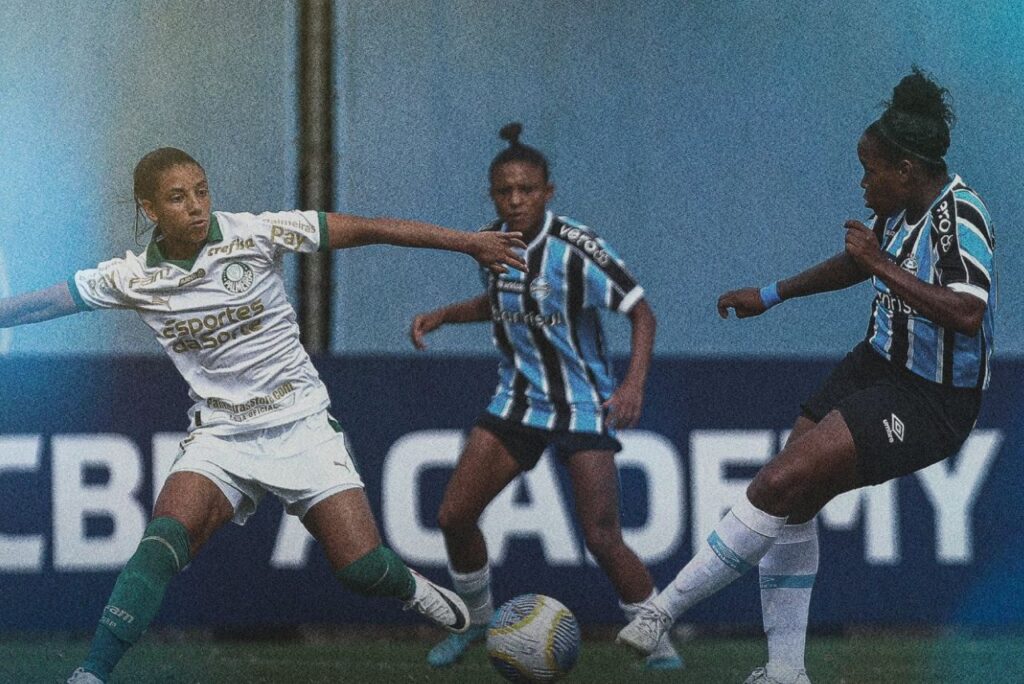 Palmeiras venceu o Grêmio pelo Brasileirão Feminino (Foto: Reprodução)