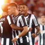 Jogadores do Botafogo comemoram gol de Ponte