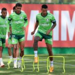 Treino do Palmeiras