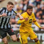 Newcastle goleou o Sheffield United pelo Campeonato Inglês (Foto: Reprodução)