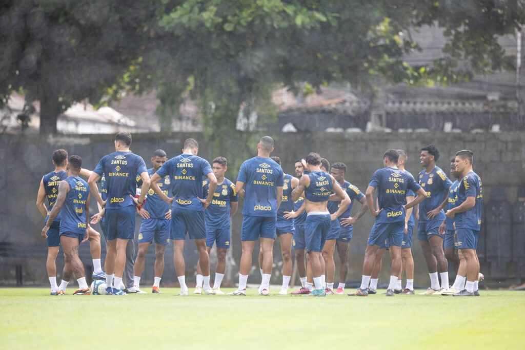 O time tem dois reforços confirmados que ainda não foram inscritos. Foto: Léo Rodrigues/ Santos FC.