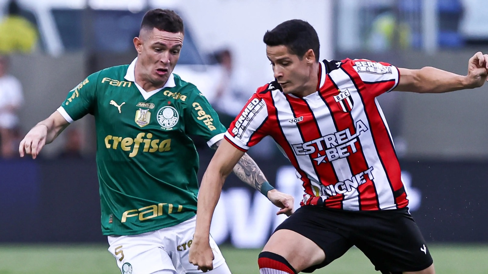 onde assistir ao vivo