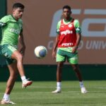 Bruno Rodrigues se lesionou no mês de janeiro. Foto: Cesar Greco/Palmeiras