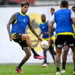 Erick Pulgar, volante do Flamengo (Foto: Marcelo Cortes/CRF)