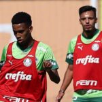 Estevão vem sendo titular nos últimos jogos. Foto: Cesar Greco/Palmeiras