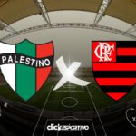Palestino x Flamengo - Copa Libertadores 2024